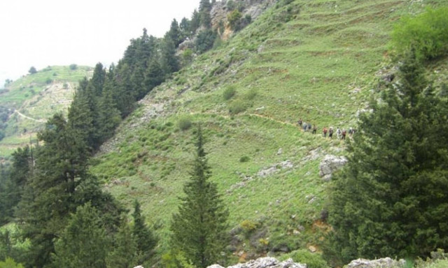 Χανιά: Αγωνία για γυναίκα που έπεσε σε γκρεμό