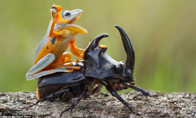 Viral: Οι πιο παράξενες φωτογραφίες της ημέρας