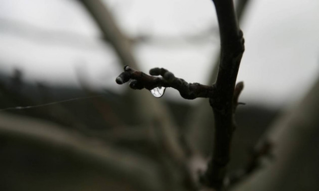 Πέθανε η Σου Σου!