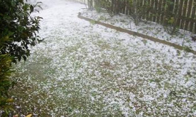 Ισχυρή χαλαζόπτωση στα Φάρσαλα: Τις «πληγές» τους μετρούν οι αγρότες (video)