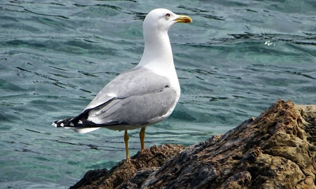 Weather forecast: Mostly fair on Saturday (10/06/2017)