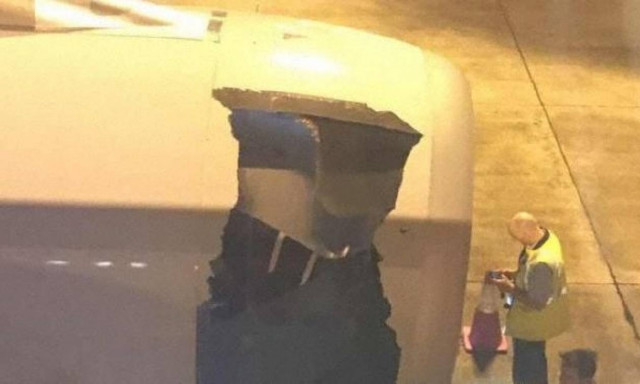 Πανικός σε πτήση: Άνοιξε τρύπα στον κινητήρα του αεροσκάφους! (pics+vid)