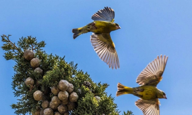 Weather forecast: Mostly fair on Wednesday (14/06/2017)