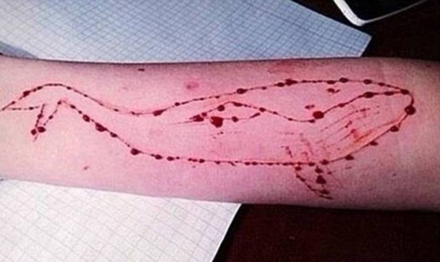 Παρέμβαση της Εισαγγελίας για τη «Μπλε Φάλαινα»