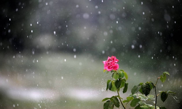 Weather forecast: Rain on Thursday (15/06/2017)