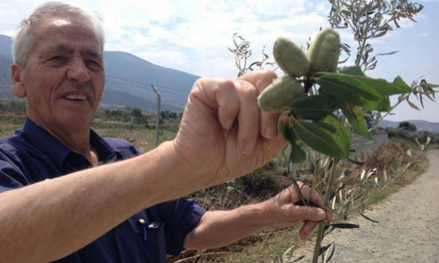 Λάρισα: Τεράστιες οι ζημιές από το χαλάζι - Αυτοψία από τον δήμαρχο Τεμπών