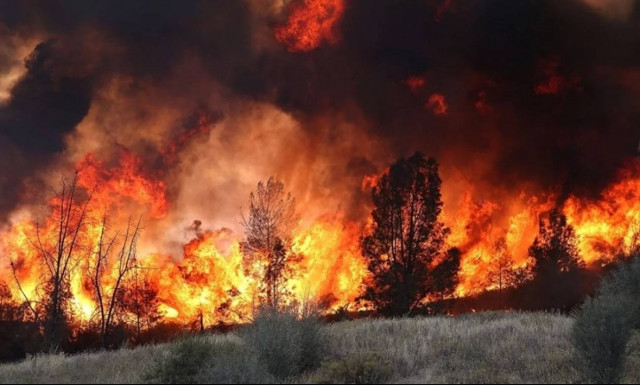 Μεγάλη φωτιά στην Αρήνη Ζαχάρως