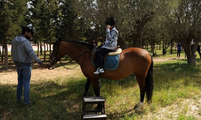 Βόλτες με άλογα και διασκεδαστικές δραστηριότητες στον ιππόδρομο στις 5 Ιουλίου