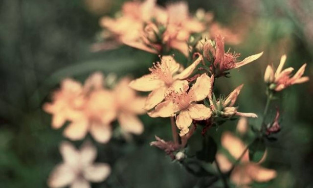 Tο περίφημο Ίαμα των αρχαίων Σπαρτιατών αναβιώθηκε και κάνει Θαύματα στο Δέρμα!