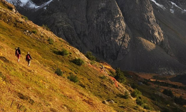 Φρικτός θάνατος 16χρονου: Έτρεχε σε αγώνα και τον κατασπάραξε αρκούδα