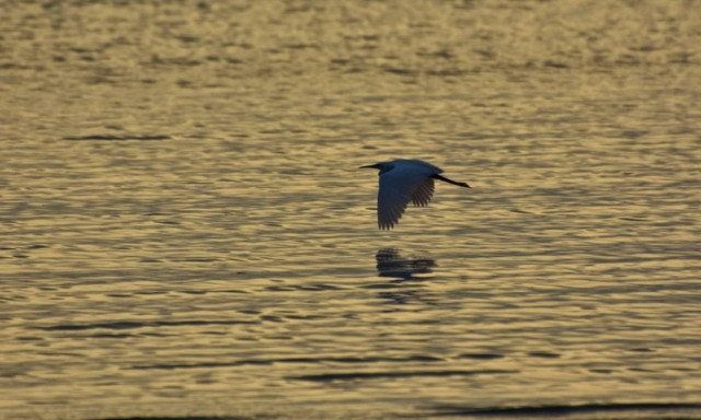 Weather forecast: Mostly fair on Wednesday (21/06/2017)