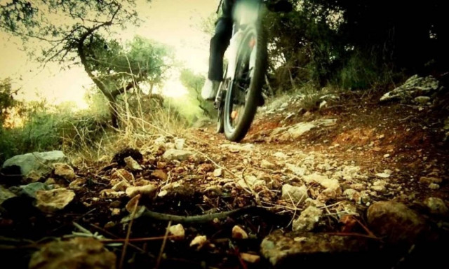 Επικό βίντεο: Έκαναν σεξ στο δάσος και τους έπιασαν στα... πράσα ποδηλάτες