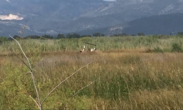 Πτώση ελικοπτέρου Σχοινιάς: Οι πρώτες εικόνες από το σημείο της τραγωδίας