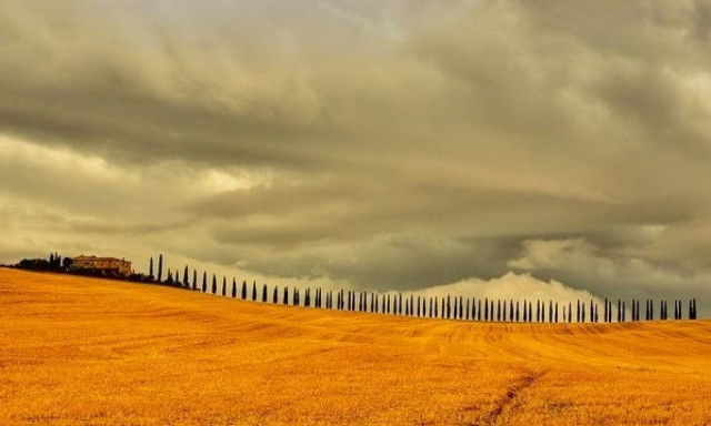 Ιταλία: Ξηρασία «σαρώνει» τη χώρα – Ανυπολόγιστες ζημιές για τους αγρότες