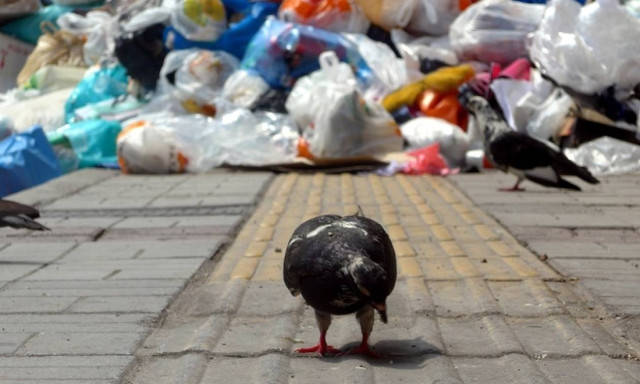 Amendment for hirings in municipal sanitation services tabled in parliament