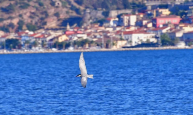 Weather forecast: Sunny and hot on Thursday (29/06/2017)