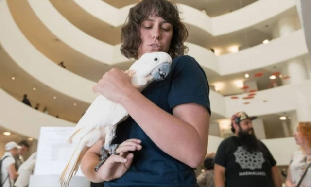 Έναν... αληθινό παπαγάλο «φιλοξενεί» το μουσείο Guggenheim της Νέας Υόρκης!