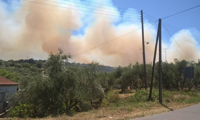 Πύρινος εφιάλτης στην Κορώνη – Οι φλόγες «έγλειψαν» σπίτια