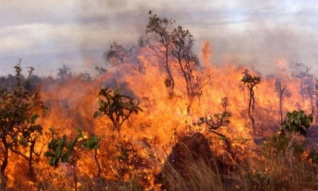 Υπό μερικό έλεγχο η φωτιά στον Καρά Τεπέ της Μυτιλήνης