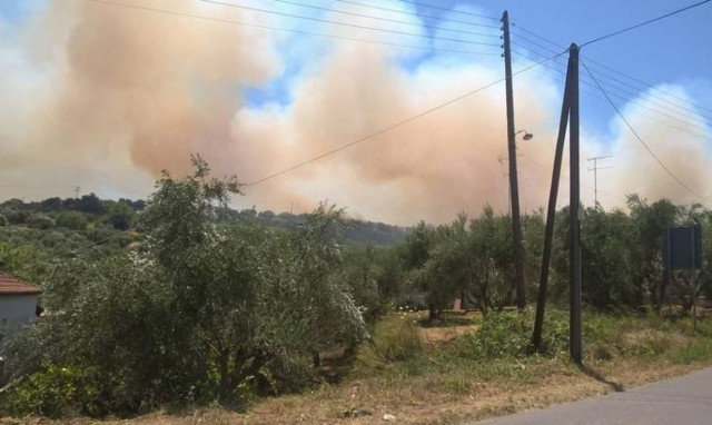 Υπό μερικό έλεγχο η φωτιά στη Μεσσηνία