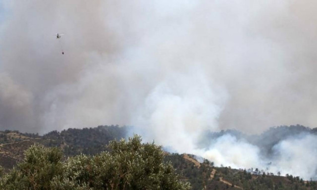 Μεγάλη φωτιά στη Φθιώτιδα