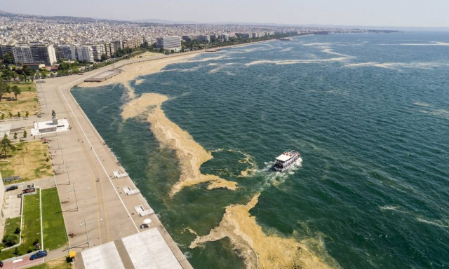 Ο Ιβάν Σαββίδης πληρώνει «όσα χρειαστούν» για να καθαρίσει ο Θερμαϊκός από το φυτοπλαγκτόν