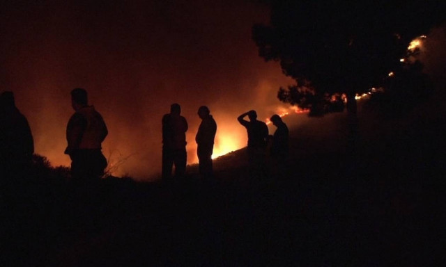 Φωτιά στην Κοκκάλα - Αντιπεριφερειάρχης Λακωνίας: «Είμαστε έτοιμοι να εκκενώσουμε οικισμούς»