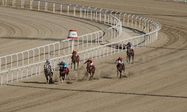 Σε δύο ημέρες η κορυφαία κούρσα στο Μαρκόπουλο: Δείτε τους αναβάτες του 71ου Ελληνικού Ντέρμπι ΟΠΑΠ
