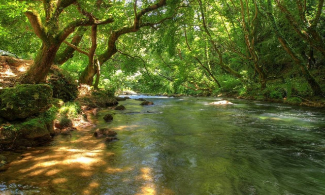 Ανήλικος χτύπησε στο κεφάλι προσπαθώντας να περάσει τον Αχέροντα