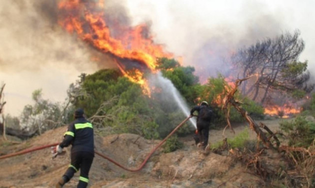 Φωτιά ΤΩΡΑ: Μεγάλη πυρκαγιά στον Κάλαμο Αττικής