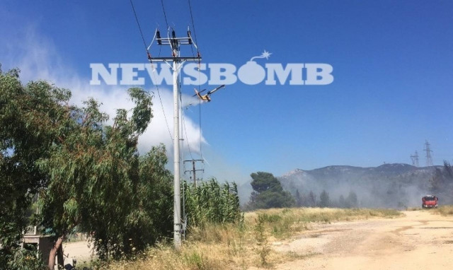 ΦΩΤΙΑ ΤΩΡΑ στο Κρυονέρι: Δείτε τις πρώτες φωτογραφίες από τη μεγάλη πυρκαγιά