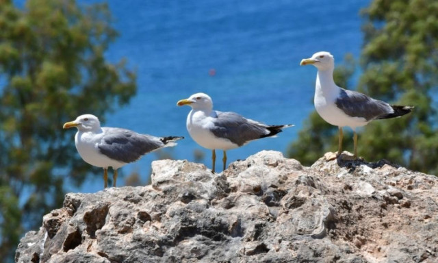 Weather forecast: Fair on Friday (07/07/2017)