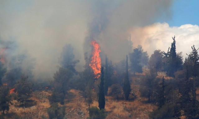 Μεγάλη φωτιά ΤΩΡΑ στην Αλεξανδρούπολη