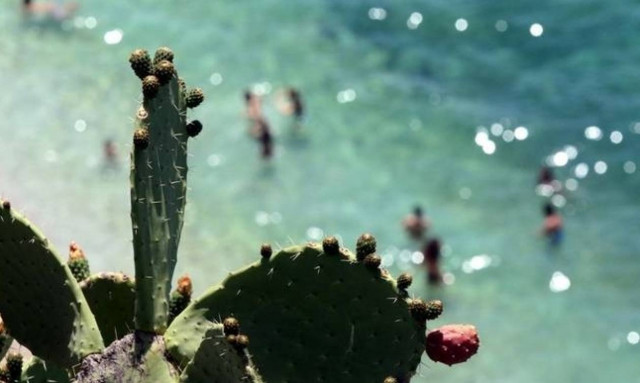 Καιρός - Καύσωνας: «Φούρνος» και πάλι όλη η χώρα - Άγγιξε τους 40 ο υδράργυρος