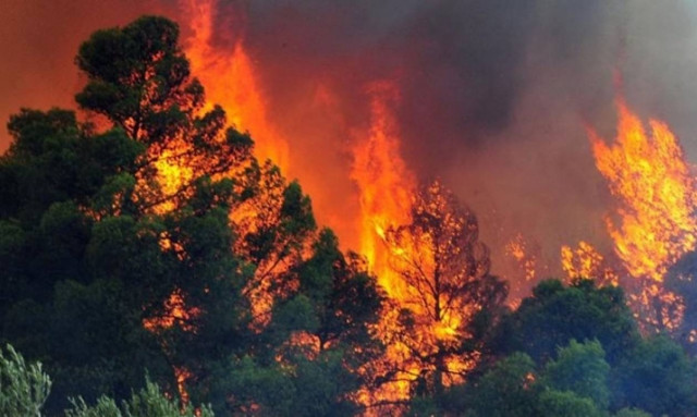 Φωτιά ΤΩΡΑ: Μάχη με τις φλόγες για τη σωτηρία του πευκοδάσους στις Ορθωνιές της Ζακύνθου