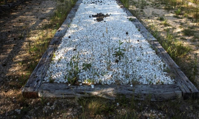 Απίθανη ανακάλυψη: Φυσικά διατηρημένοι εγκέφαλοι σε ομαδικό τάφο από τον ισπανικό εμφύλιο! (pics)