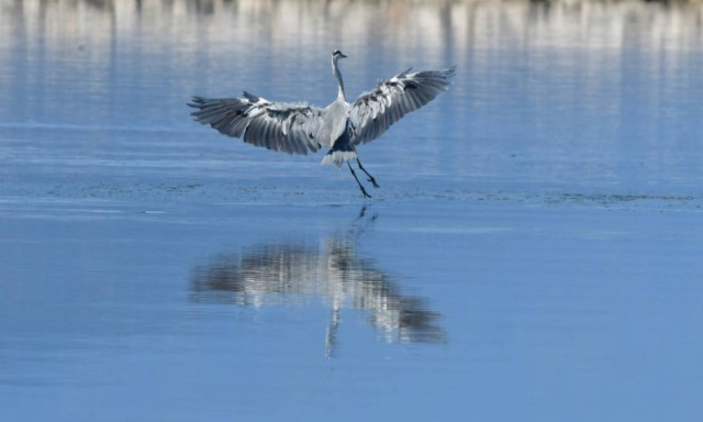 Weather Forecast: High temperatures on Thursday (13/07/2017)