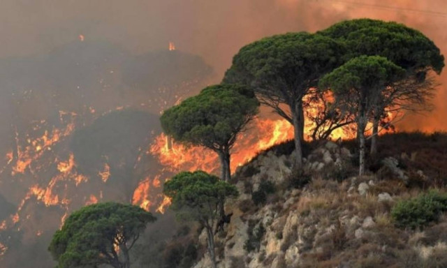Σε πύρινο κλοιό η Νότια Ιταλία - Κινητοποιείται ο στρατός (pics)