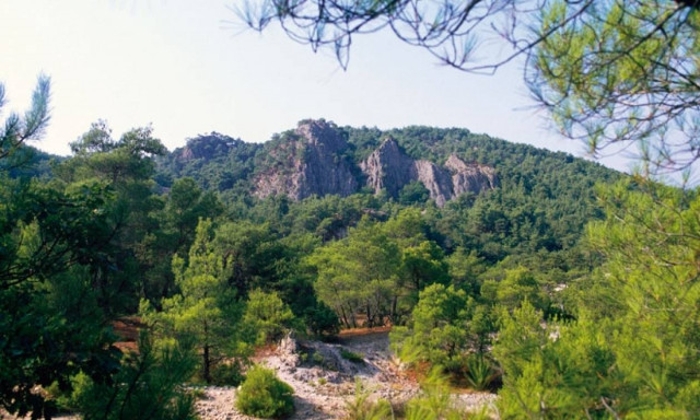 Φωτιά ΤΩΡΑ στον Έβρο - Απειλείται το Εθνικό πάρκο της Δαδιάς