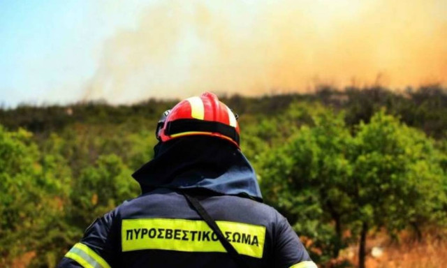 Wildfire in forest alongside Nestos River in Xanthi under control