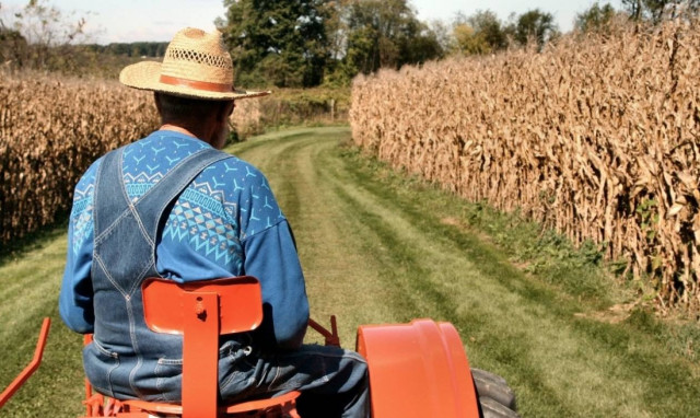 Φορολογικές δηλώσεις: Τι πρέπει να κάνουν οι αγρότες