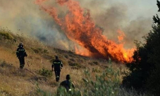 Φωτιά στην Αχαΐα