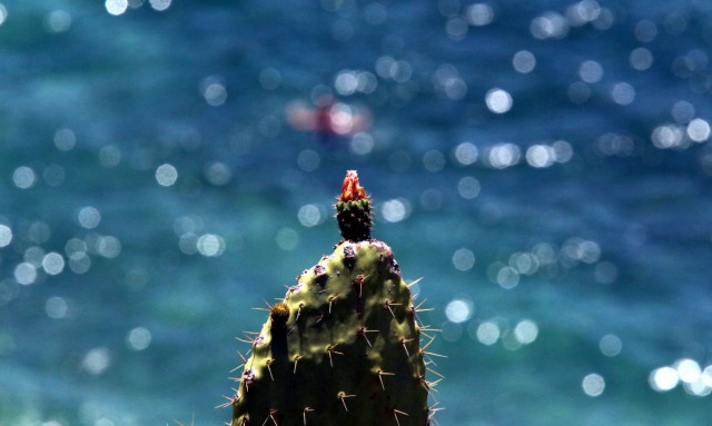 Καιρός: Μίνι καύσωνας από Δευτέρα - Ποιες πόλεις θα «ψηθούν»