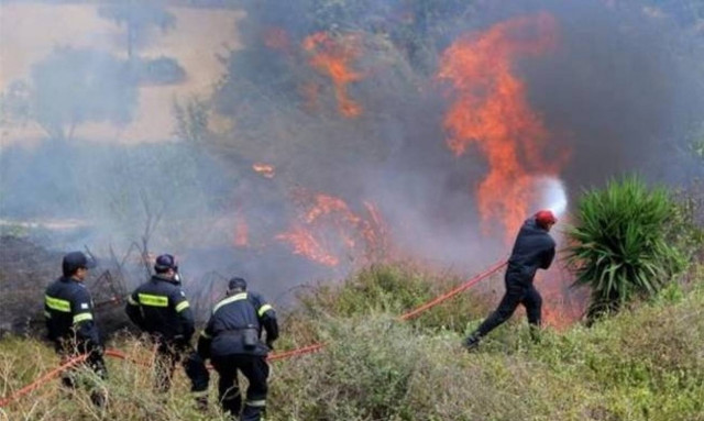 Φωτιά τώρα: Σε εξέλιξη πυρκαγιά στην Άνω Καλλιθέα Ξυλοκάστρου