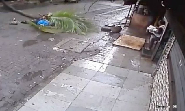 Βίντεο – σοκ: Πασίγνωστη παρουσιάστρια σκοτώνεται από φοίνικα