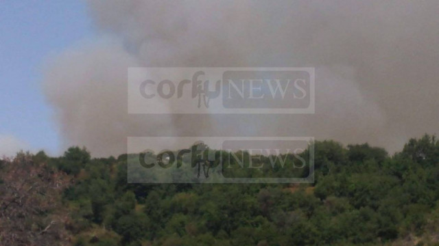 Μεγάλη φωτιά τώρα: Σε δασική έκταση στην ορεινή Περίσσια της Κέρκυρας