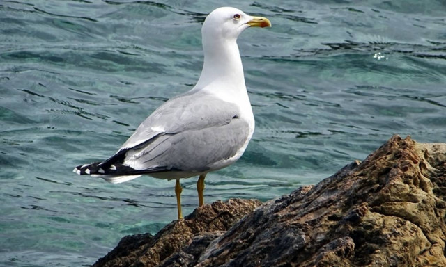 Weather forecast: Mostly fair on Friday (28/07/2017)