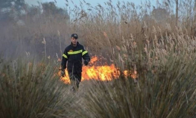 Φωτιά στη Λάρισα: Ενισχύονται οι δυνάμεις της πυροσβεστικής
