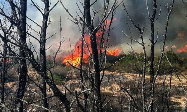 Φωτιά – Προσοχή! Ανακοίνωση της Γενικής Γραμματείας Πολιτικής Προστασίας