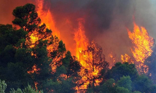 Σε πύρινο κλοιό η Αλβανία: Ελληνικά πυροσβεστικά συμμετέχουν στην κατάσβεση
